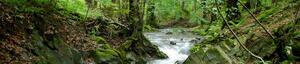 Seesen - naturnah - 