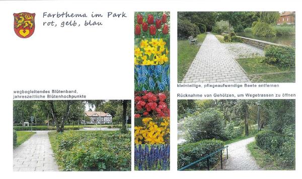 Bild vergr&ouml;&szlig;ern: Abgebildet sind mehrere Bilder aus dem Park, die problematische Geh&ouml;lze zeigen. Mittig im Bild sind Fr&uuml;hbl&uuml;her wie Tulpen und Narzissen abgebildet. Sie dienen als Beispiel f&uuml;r eine m&ouml;gliche Bepflanzung im Park und greifen dabei das Farbschema aus Rot, Gelb und Blau auf.