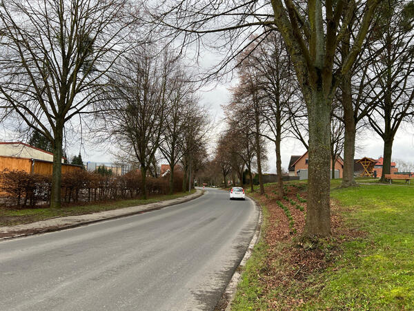 Bild vergr&ouml;&szlig;ern: Die Lindenallee in Bilderlahe.