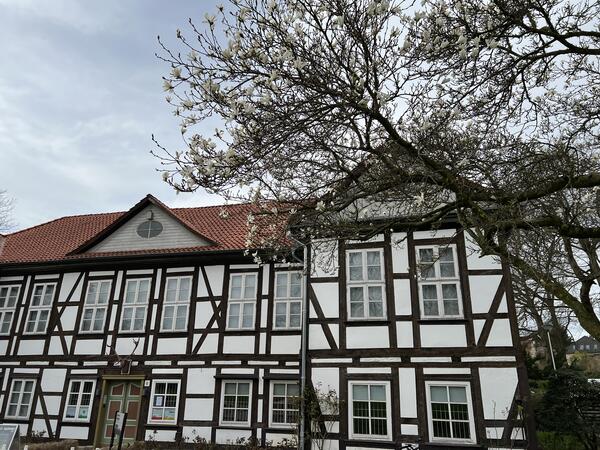 Bild vergr&ouml;&szlig;ern: Das St&auml;dtische Museum Seesen
