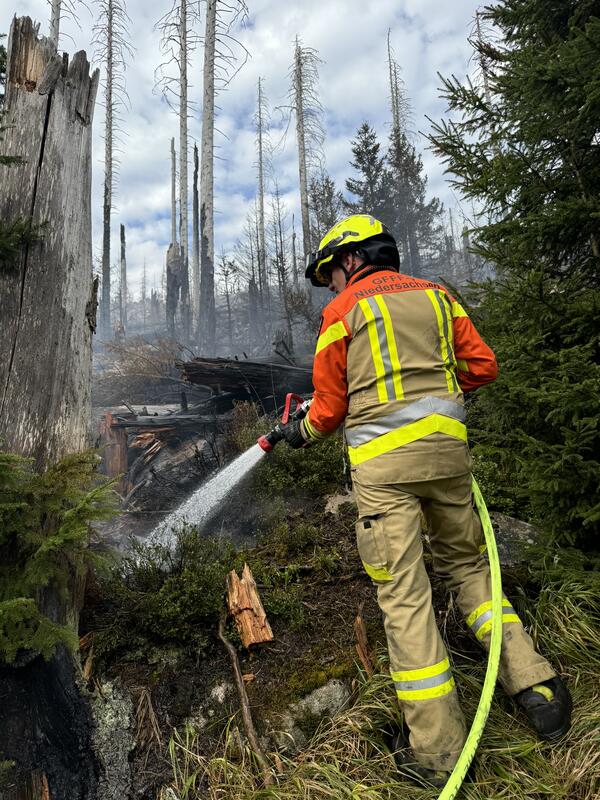 Bild vergr&ouml;&szlig;ern: Waldbrand Brocken2