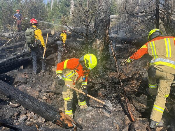 Bild vergr&ouml;&szlig;ern: Waldbrand Brocken4