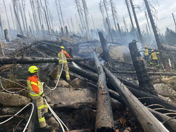 Bild vergr&ouml;&szlig;ern: Waldbrand Brocken5