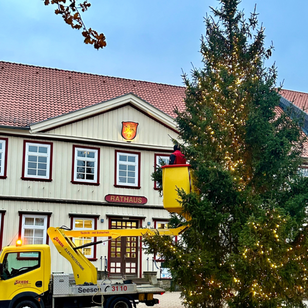 Bild vergr&ouml;&szlig;ern: Rathausbaum 3