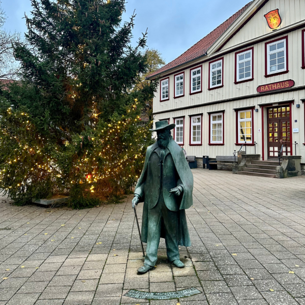 Bild vergr&ouml;&szlig;ern: Rathausbaum 4