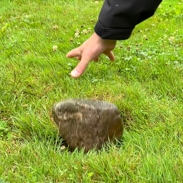 Bild vergr&ouml;&szlig;ern: Hundewiese_L&ouml;cher3