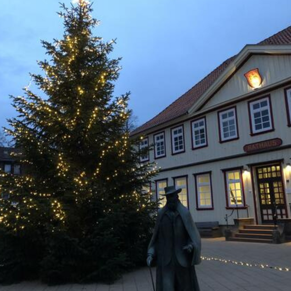 Bild vergr&ouml;&szlig;ern: Weihnachtsbaum Rathaus Spende 2025