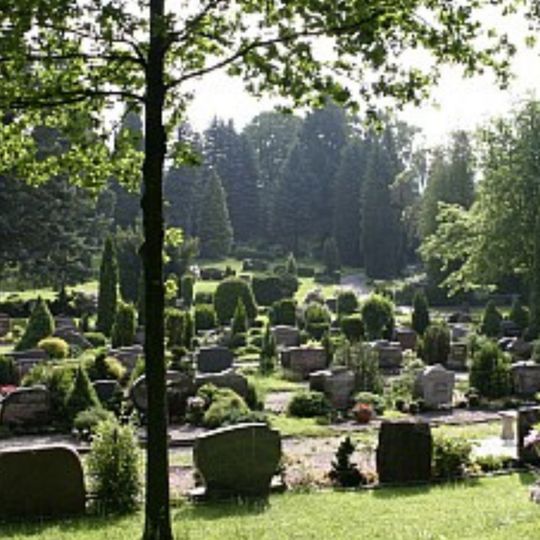 Bild vergr&ouml;&szlig;ern: Friedhof