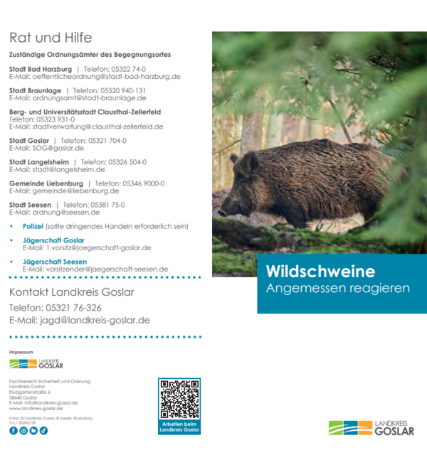 Bild vergr&ouml;&szlig;ern: Flyer Wildschweine