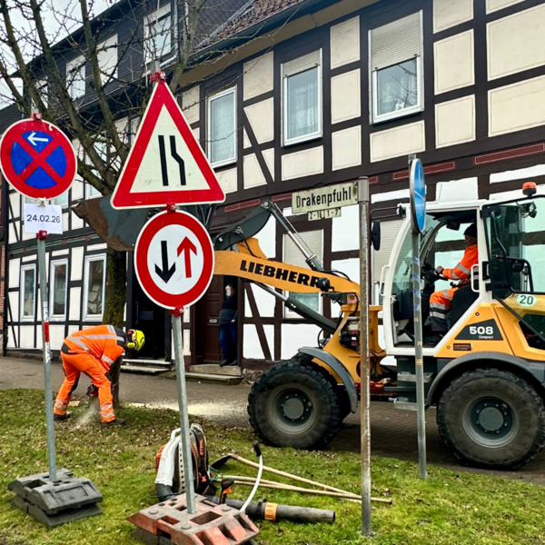 Bild vergr&ouml;&szlig;ern: Ginkob&auml;ume Baderstra&szlig;e Drakenpfuhl (3)