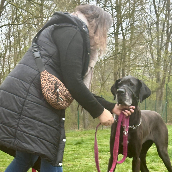 Bild vergr&ouml;&szlig;ern: Hundewiese (2)