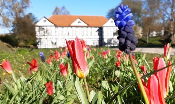 Bild vergr&ouml;&szlig;ern: Museum