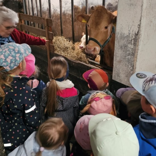 Bild vergr&ouml;&szlig;ern: Abenteuer Bauernhof -  Kita Am Spottberg auf dem Hof Weidner (2)