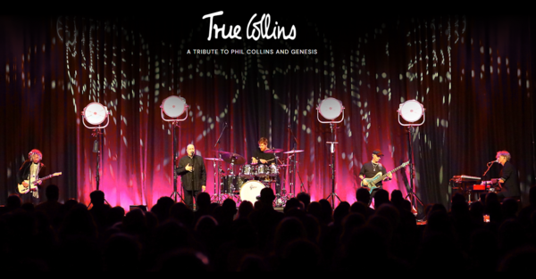 Bild vergr&ouml;&szlig;ern: True Collins