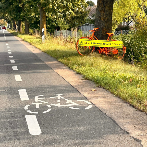Bild vergr&ouml;&szlig;ern: Orange R&auml;der (2)