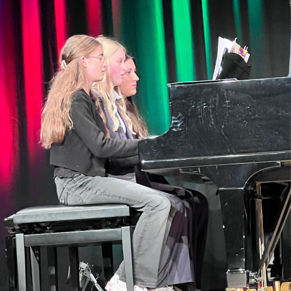 Bild vergr&ouml;&szlig;ern: steinway in concert